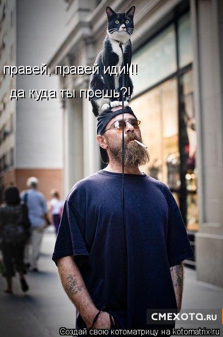 правей, правей иди!!! да куда ты прешь?!... Котоматрица: правей, правей иди!!! да куда ты прешь?!