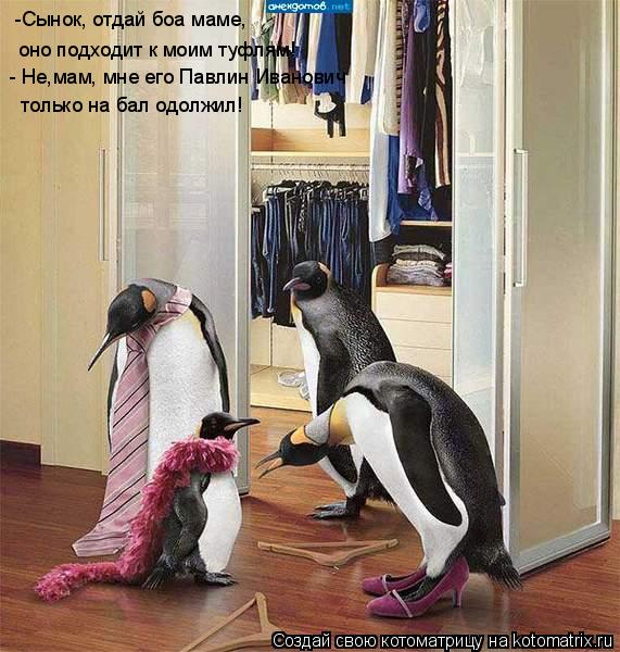 -Сынок, отдай боа маме, оно подходит к моим туфлям! - Не,мам, мне его Павлин Иванович только на бал ... Котоматрица: -Сынок, отдай боа маме, оно подходит к моим туфлям! - Не,мам, мне его Павлин Иванович только на бал одолжил!