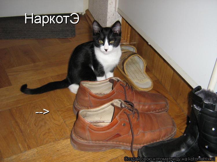 НаркотЭ -->... Котоматрица: НаркотЭ -->