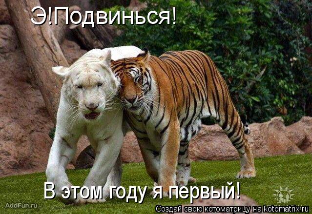 Э!Подвинься! В этом году я первый!... Котоматрица: Э!Подвинься! В этом году я первый!
