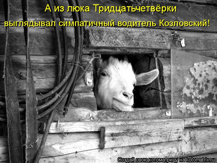 А из люка Тридцатьчетвёрки выглядывал симпатичный водитель Козловский!... Котоматрица: А из люка Тридцатьчетвёрки выглядывал симпатичный водитель Козловский!