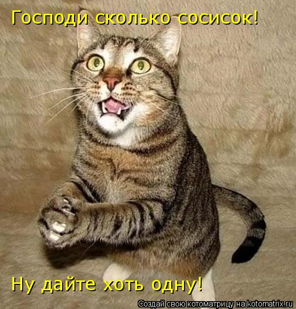 Господи сколько сосисок! Ну дайте хоть одну!... Котоматрица: Господи сколько сосисок! Ну дайте хоть одну!