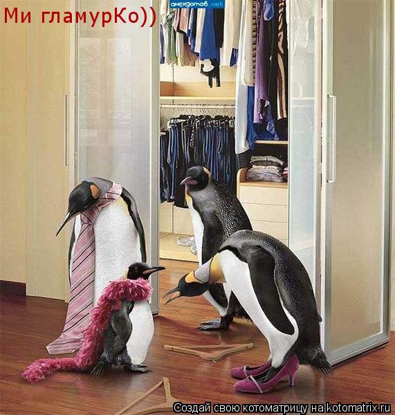 Ми гламурКо))... Котоматрица: Ми гламурКо))