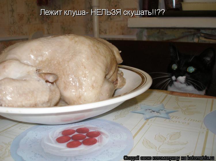Лежит клуша- НЕЛЬЗЯ скушать!!??... Котоматрица: Лежит клуша- НЕЛЬЗЯ скушать!!??