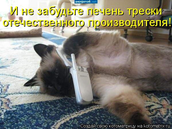 Котоматрица: И не забудьте печень трески отечественного производителя!