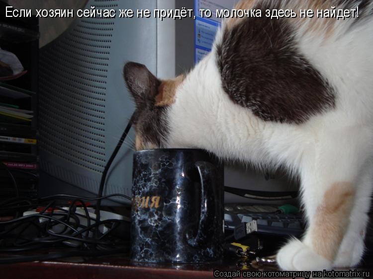 Котоматрица: Если хозяин сейчас же не придёт, то молочка здесь не найдет!