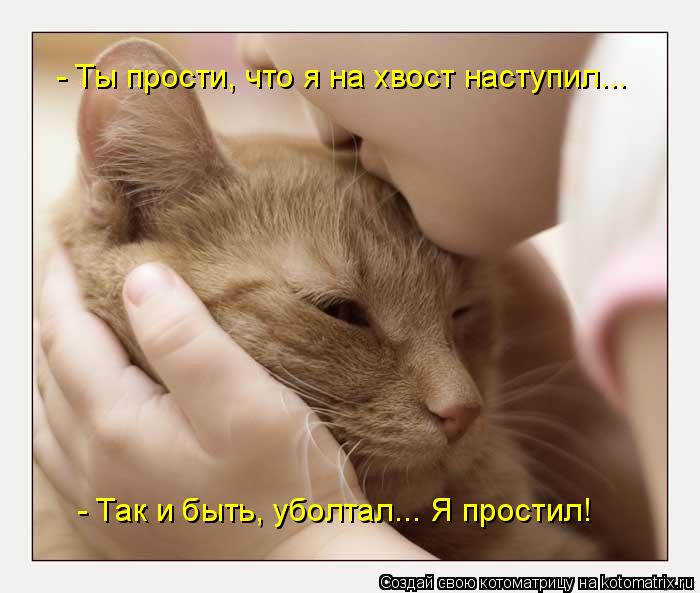 - Ты прости, что я на хвост наступил... - Так и быть, уболтал... Я простил!... Котоматрица: - Ты прости, что я на хвост наступил... - Так и быть, уболтал... Я простил!
