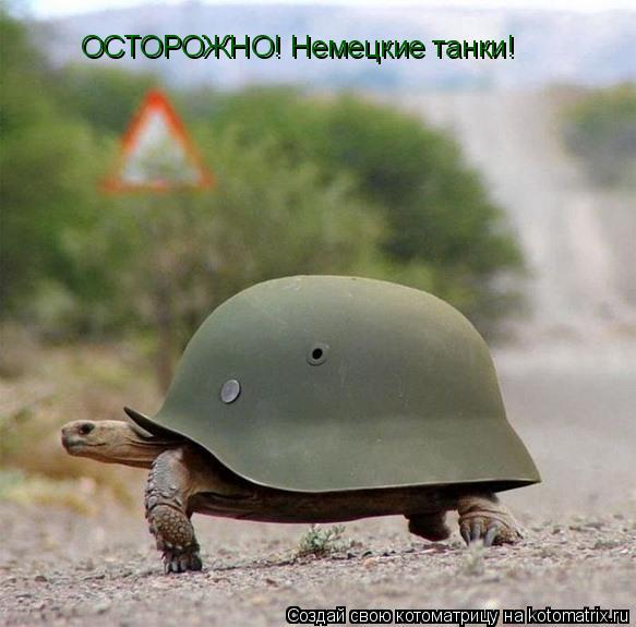 Котоматрица: ОСТОРОЖНО! Немецкие танки!