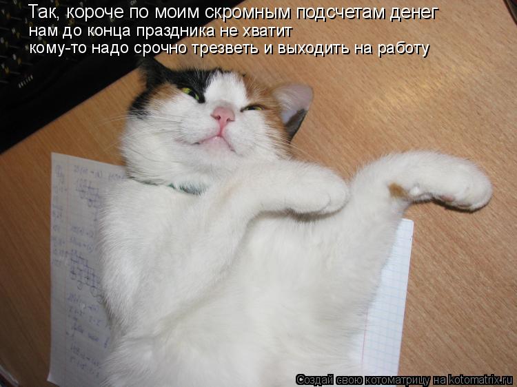 Котоматрица: Так, короче по моим скромным подсчетам денег  нам до конца праздника не хватит кому-то надо срочно трезветь и выходить на работу