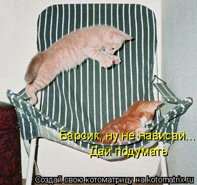 Котоматрица: Барсик, ну не нависай... Дай подумать