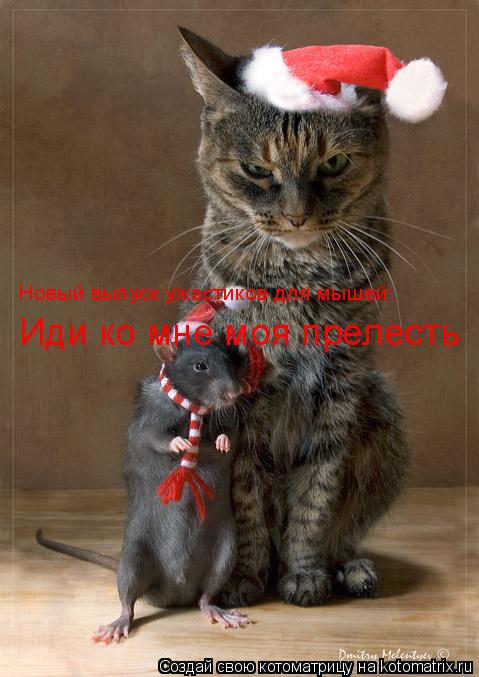 Котоматрица: Иди ко мне моя прелесть Новый выпуск ужастиков для мышей: