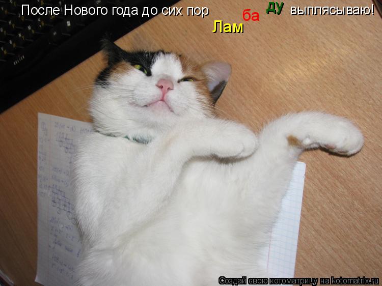 Котоматрица: После Нового года до сих пор  выплясываю! Лам ду ба