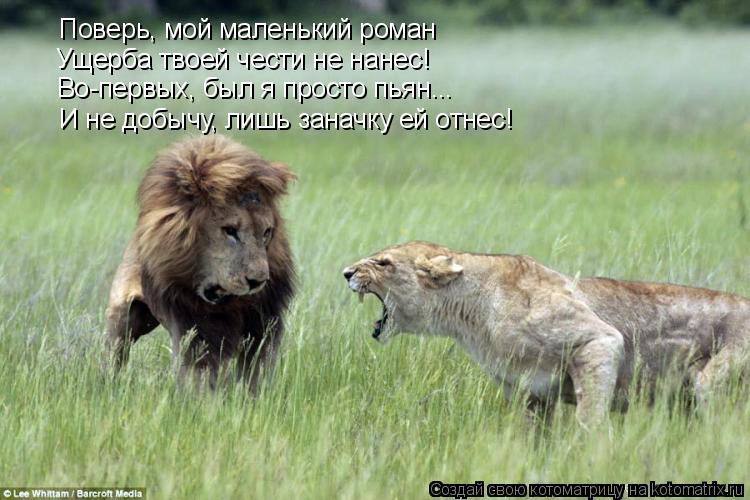 Поверь, мой маленький роман Ущерба твоей чести не нанес! Во-первых, был я просто пьян... И не добыч... Котоматрица: Поверь, мой маленький роман Ущерба твоей чести не нанес! Во-первых, был я просто пьян... И не добычу, лишь заначку ей отнес!