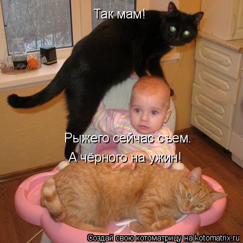 Котоматрица: Так мам! Рыжего сейчас съем. А чёрного на ужин!