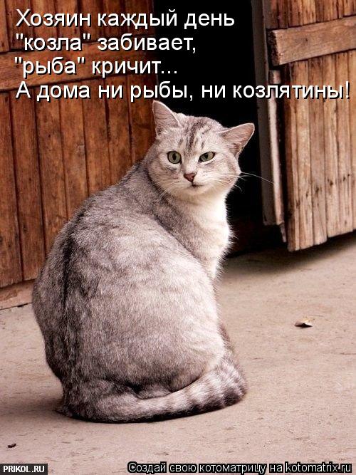 Хозяин каждый день "козла" забивает, "рыба" кричит... А дома ни рыбы, ни козлятины!... Котоматрица: Хозяин каждый день "козла" забивает, "рыба" кричит... А дома ни рыбы, ни козлятины!