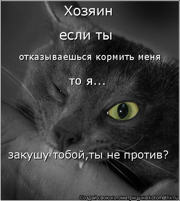 Котоматрица: Хозяин если ты отказываешься кормить меня то я... закушу тобой,ты не против?