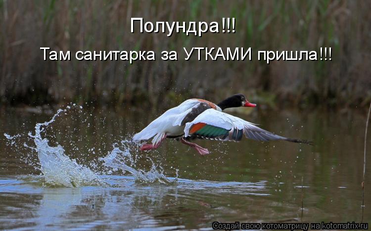 Полундра!!! Там санитарка за УТКАМИ пришла!!!... Котоматрица: Полундра!!! Там санитарка за УТКАМИ пришла!!!