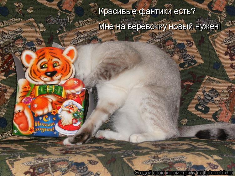 Котоматрица: - Красивые фантики есть? Мне на верёвочку новый нужен!