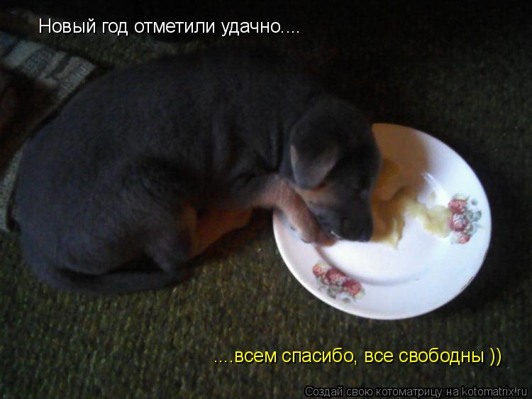 Котоматрица: Новый год отметили удачно.... ....всем спасибо, все свободны ))