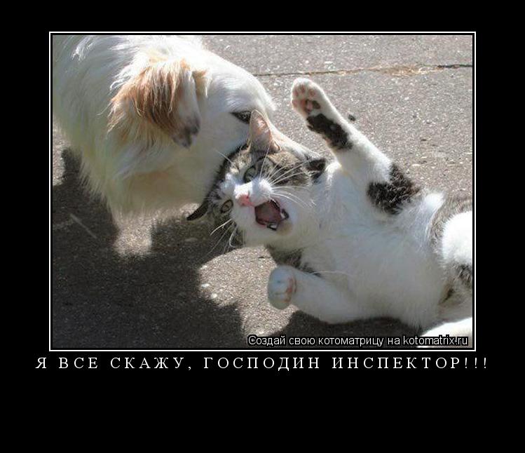 Я ВСЕ СКАЖУ, ГОСПОДИН ИНСПЕКТОР!!! ... Котоматрица: Я ВСЕ СКАЖУ, ГОСПОДИН ИНСПЕКТОР!!!