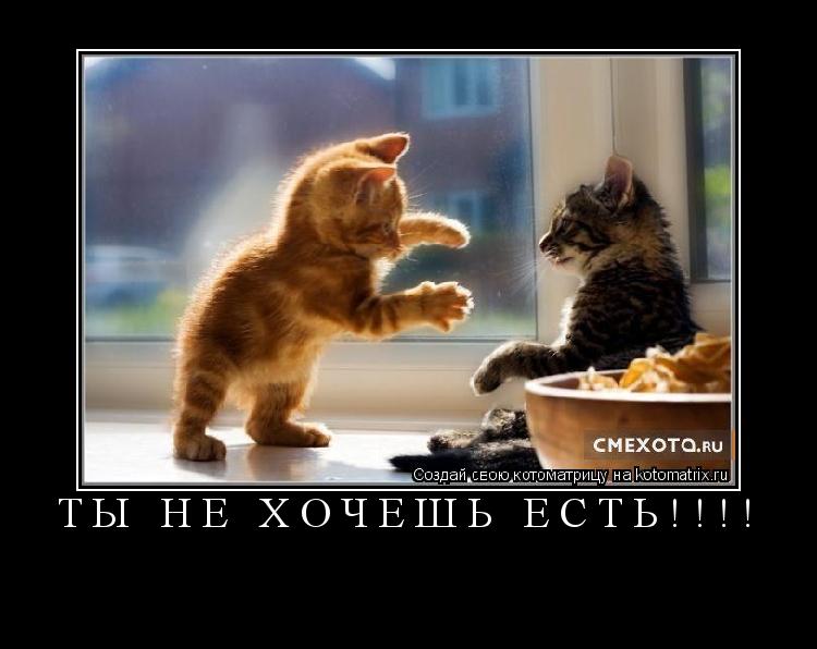Котоматрица: ТЫ НЕ ХОЧЕШЬ ЕСТЬ!!!! 