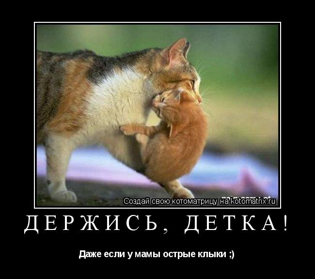 ДЕРЖИСЬ, ДЕТКА! Даже если у мамы острые клыки ;)... Котоматрица: ДЕРЖИСЬ, ДЕТКА! Даже если у мамы острые клыки ;)