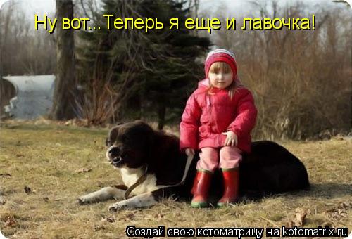 Котоматрица: Ну вот...Теперь я еще и лавочка!
