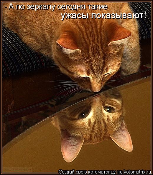 Котоматрица: ужасы показывают! - А по зеркалу сегодня такие