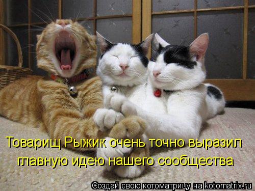 Котоматрица: Товарищ Рыжик очень точно выразил главную идею нашего сообщества