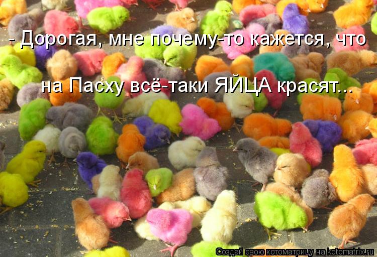 - Дорогая, мне почему-то кажется, что на Пасху всё-таки ЯЙЦА красят...... Котоматрица: - Дорогая, мне почему-то кажется, что на Пасху всё-таки ЯЙЦА красят...