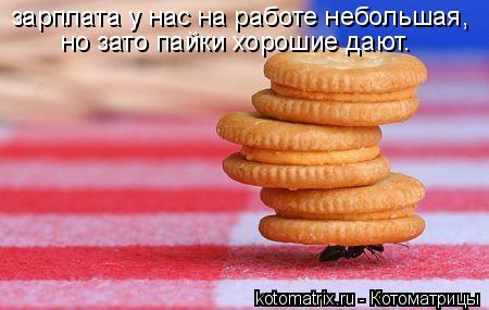 зарплата у нас на работе небольшая, но зато пайки хорошие дают.... Котоматрица: зарплата у нас на работе небольшая, но зато пайки хорошие дают.