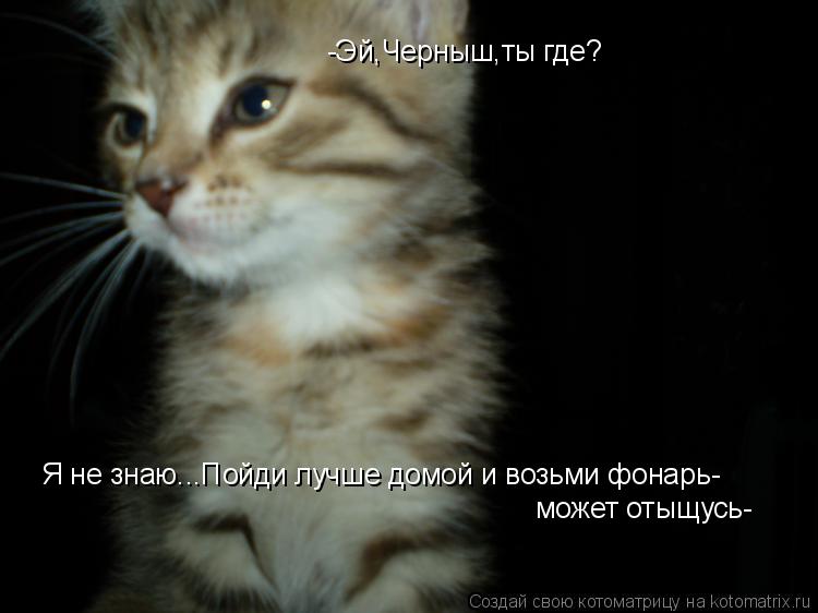 Котоматрица: -Эй,Черныш,ты где? Я не знаю...Пойди лучше домой и возьми фонарь- может отыщусь-