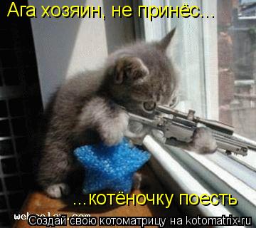 Котоматрица: ...котёночку поесть Ага хозяин, не принёс...