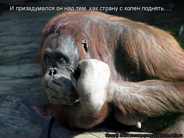 Котоматрица: И призадумался он над тем, как страну с колен поднять.....