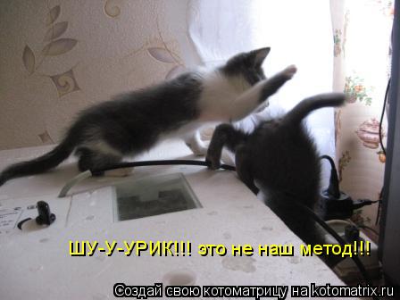 Котоматрица: ШУ-У-УРИК!!! это не наш метод!!!