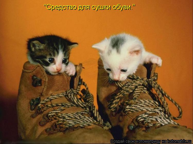 Котоматрица: "Средство для сушки обуви."