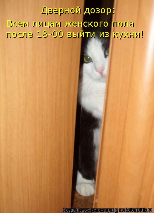Котоматрица: Всем лицам женского пола после 18-00 выйти из кухни! Дверной дозор: