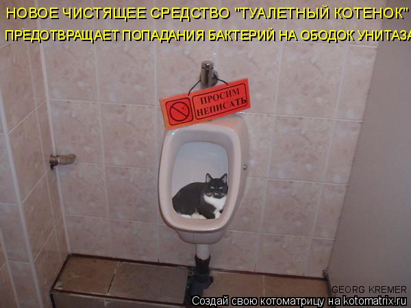 Котоматрица: НОВОЕ ЧИСТЯЩЕЕ СРЕДСТВО "ТУАЛЕТНЫЙ КОТЕНОК" ПРЕДОТВРАЩАЕТ ПОПАДАНИЯ БАКТЕРИЙ НА ОБОДОК УНИТАЗА GEORG KREMER