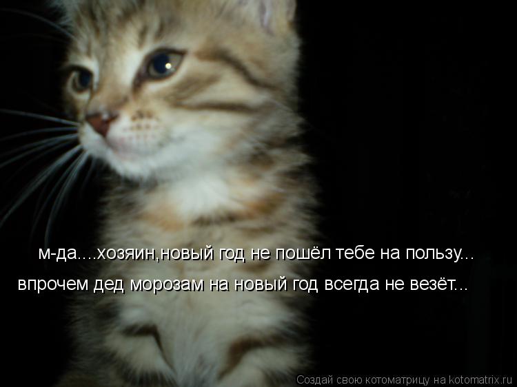 Котоматрица: м-да....хозяин,новый год не пошёл тебе на пользу... впрочем дед морозам на новый год всегда не везёт...