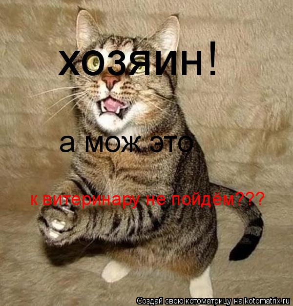 Котоматрица: хозяин! а мож это к витеринару не пойдём???