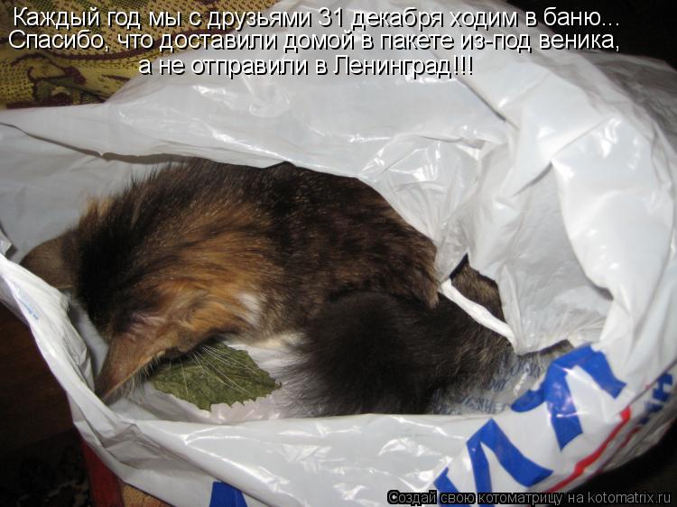 Котоматрица: Каждый год мы с друзьями 31 декабря ходим в баню... Спасибо, что доставили домой в пакете из-под веника, а не отправили в Ленинград!!!