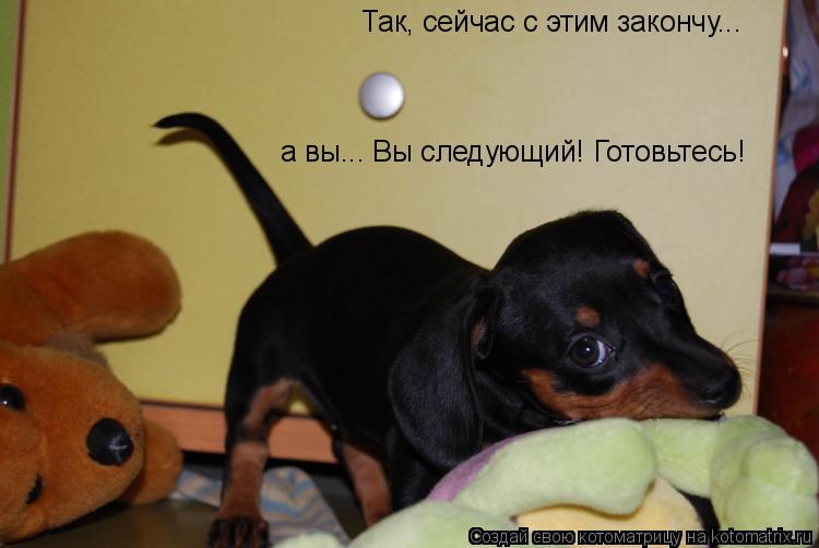 Котоматрица: Так, сейчас с этим закончу... а вы... Вы следующий! Готовьтесь!