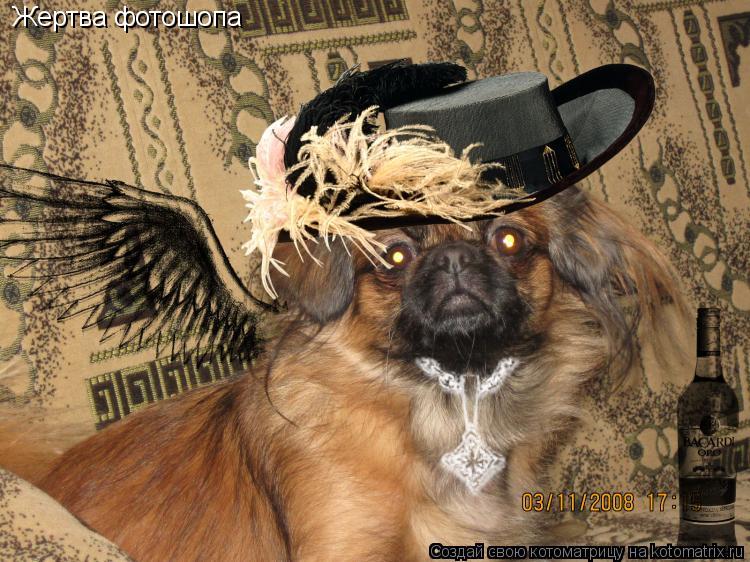 Котоматрица: Жертва фотошопа