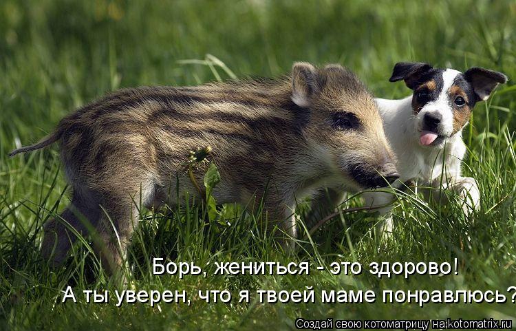 Борь, жениться - это здорово! А ты уверен, что я твоей маме понравлюсь?... Котоматрица: Борь, жениться - это здорово! А ты уверен, что я твоей маме понравлюсь?