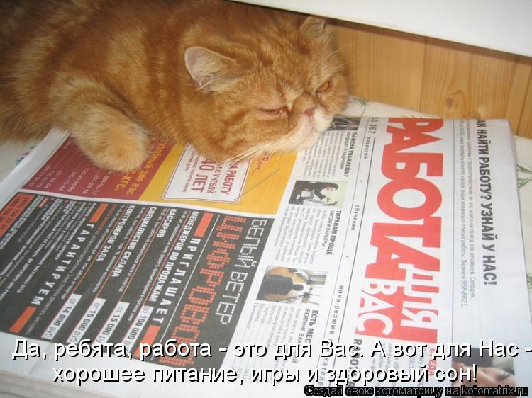 Да, ребята, работа - это для Вас. А вот для Нас - хорошее питание, игры и здоровый сон!... Котоматрица: Да, ребята, работа - это для Вас. А вот для Нас - хорошее питание, игры и здоровый сон!