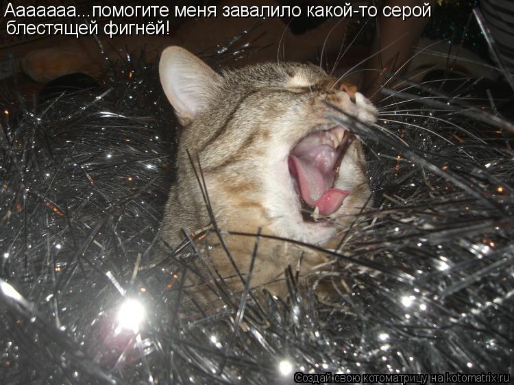 Ааааааа...помогите меня завалило какой-то серой блестящей фигнёй!... Котоматрица: Ааааааа...помогите меня завалило какой-то серой блестящей фигнёй!