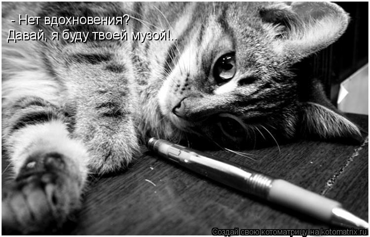 Котоматрица: - Нет вдохновения? Давай, я буду твоей музой!..