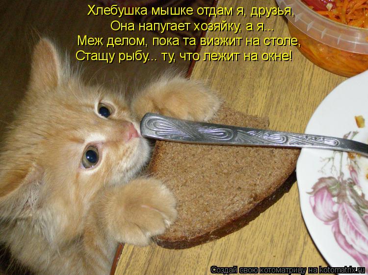 Хлебушка мышке отдам я, друзья, Она напугает хозяйку, а я... Меж делом, пока та визжит на столе, Ст... Котоматрица: Хлебушка мышке отдам я, друзья, Она напугает хозяйку, а я... Меж делом, пока та визжит на столе, Стащу рыбу... ту, что лежит на окне!