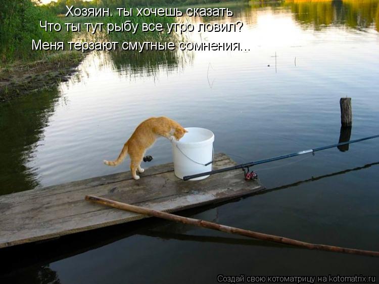 Котоматрица: Хозяин. ты хочешь сказать Что ты тут рыбу все утро ловил? Меня терзают смутные сомнения...