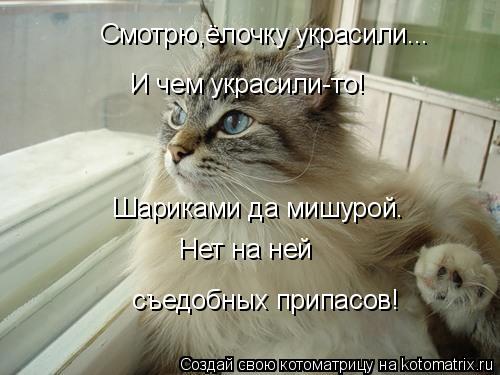 Котоматрица: Смотрю,ёлочку украсили... И чем украсили-то! Шариками да мишурой. Нет на ней съедобных припасов!